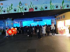 -海合安成都极地海洋公园