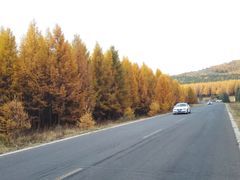 -塞罕坝国家级自然保护区