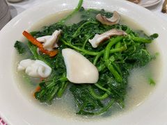 乳香鲜鱿西洋菜-稻香酒家(天河城店)