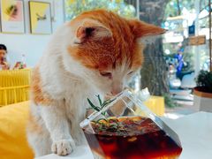 -五进制 Coffee Shop