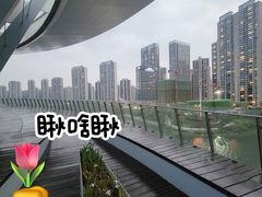 -梅溪湖城市岛