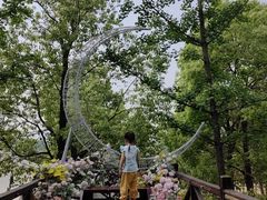 -花博汇(知音花月夜)