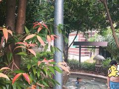 -清远熹乐谷温泉度假酒店