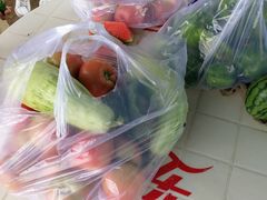 -庞各庄西瓜蔬菜采摘园·锦华瓜园