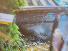 -洪氏嗨捞·猪肚鸡火锅(阳光天地店)