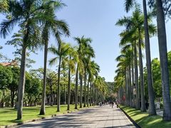 -厦门大学(思明校区)