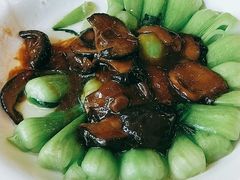香菇菜心-旭龙鱼头王(航华店)