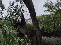-绳金塔