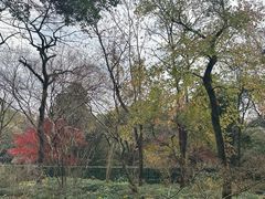 -杭州植物园
