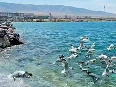 -青海湖国家重点风景名胜区