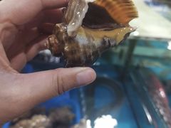 -亚龙湾8号(丁村万人海鲜广场店)
