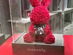 -ROSEONLY诺誓(青岛万象城店)