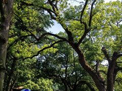 -三台山庄中餐厅