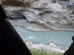 -太鲁阁公园