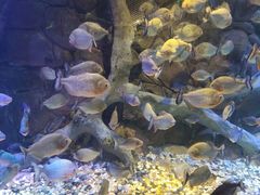 -多彩贵州城极地海洋世界