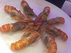 -红盔甲·小龙虾(车公庙店)
