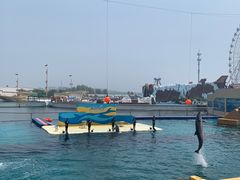 -秦皇岛乐岛海洋王国