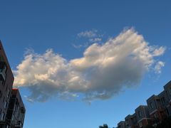 -XPEL旗舰店·汽车贴膜·隐形车衣·改色贴膜