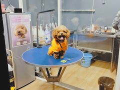 -喜狗宠物生活馆(岳州路店)