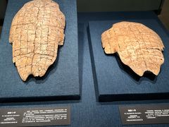 -盘龙城国家考古遗址公园