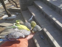 -开元溶洞
