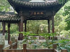 -上海佘山国家森林公园天马山园