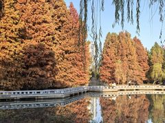 -白塘生态植物园