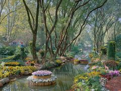 -上海共青森林公园