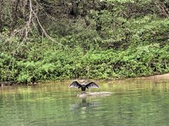 -大连冰峪旅游度假区