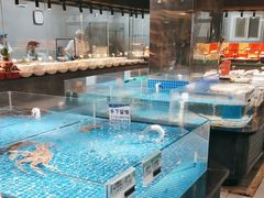 -绿杨春·淮扬宴(庐山路店)