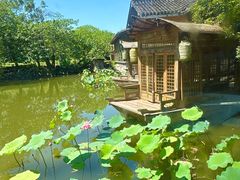-绿茶餐厅(龙井船宴· 品牌总店)