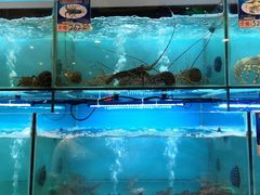 水产区-南海渔家•海鲜•正宗海南菜(海棠湾店)