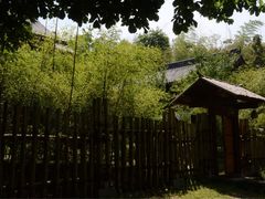 -镇江市南山风景名胜区竹林景区