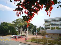 -大埔公路-马料水段香港中文大学(公交站)
