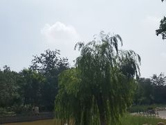 -绿岛公园(滨海新区)