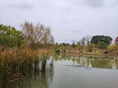 -洪湖悦兮半岛国际温泉度假村