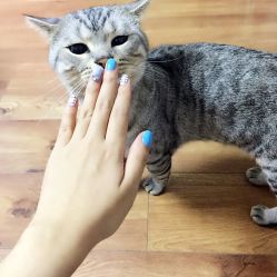 -梵熙美甲 Fancy Nails