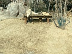 -郑州银基黄帝宫御温泉