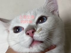 -仁仁嘉嘉宠物医院·骨外科中心·髋关节置换(北仑分院)