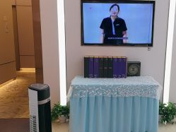 -美丽田园