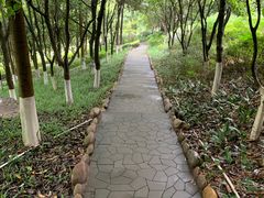 -重庆彩云湖湿地公园