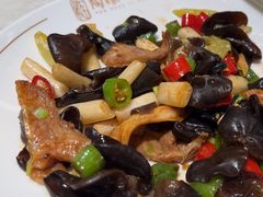 -陶缘一号·四季缘·老字号顺德菜·户外婚礼家宴(西滘店)