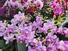 -三旗百汇商品城