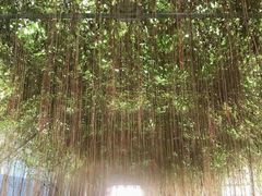 -龙达温泉生态城