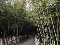 -新虹桥中心花园