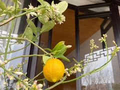 -日出青木·杭帮菜名店