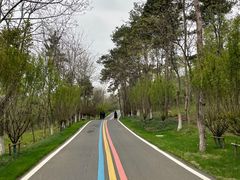 -南京金牛湖风景区