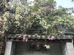 -深圳国际园林花卉博览园