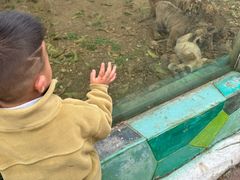 -贵州森林野生动物园