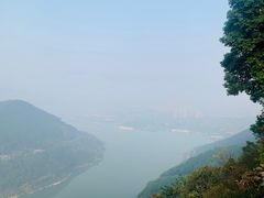 -铁山坪森林公园